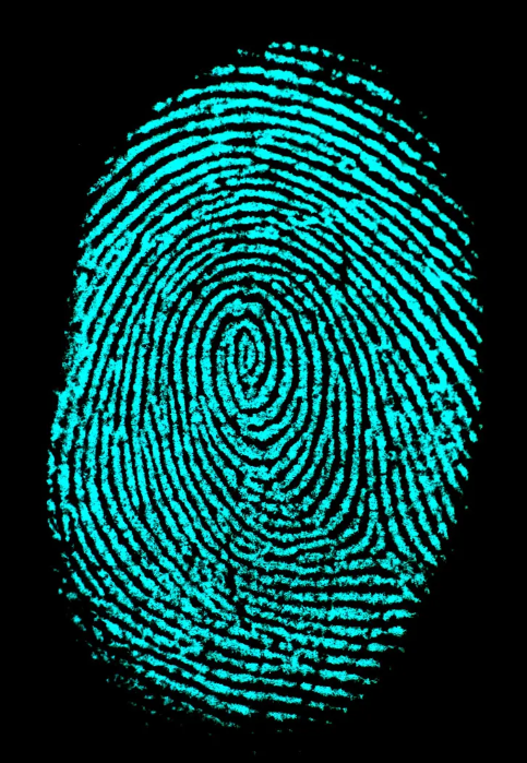 Fingerprint